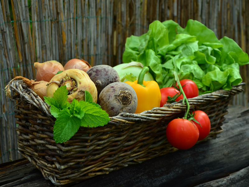 初級農(nóng)產(chǎn)品檢測