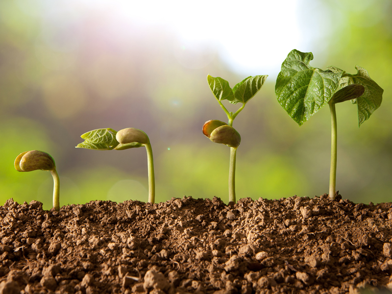 土壤、底質(zhì)檢測