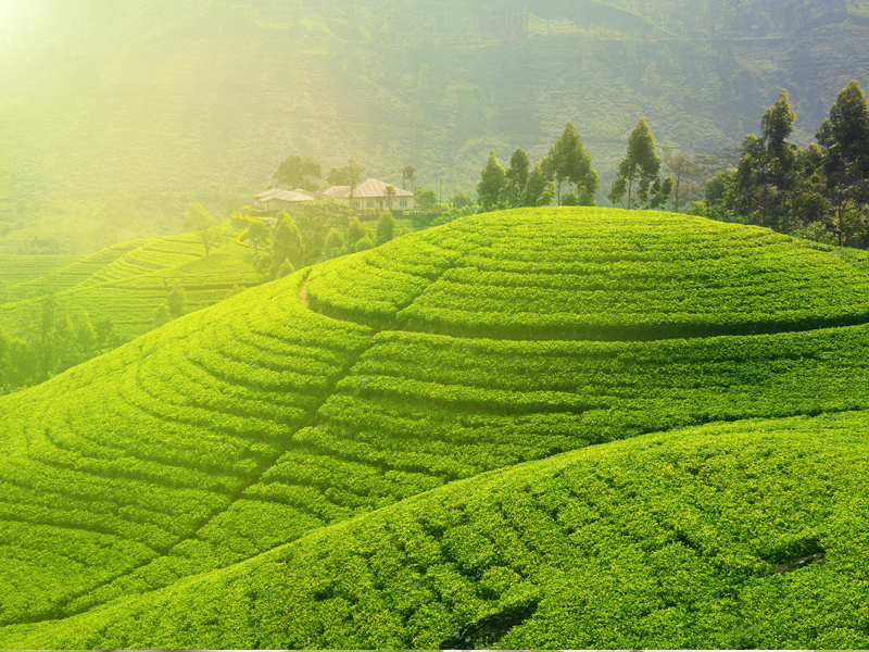 生態(tài)文明示范區(qū)創(chuàng)建申報