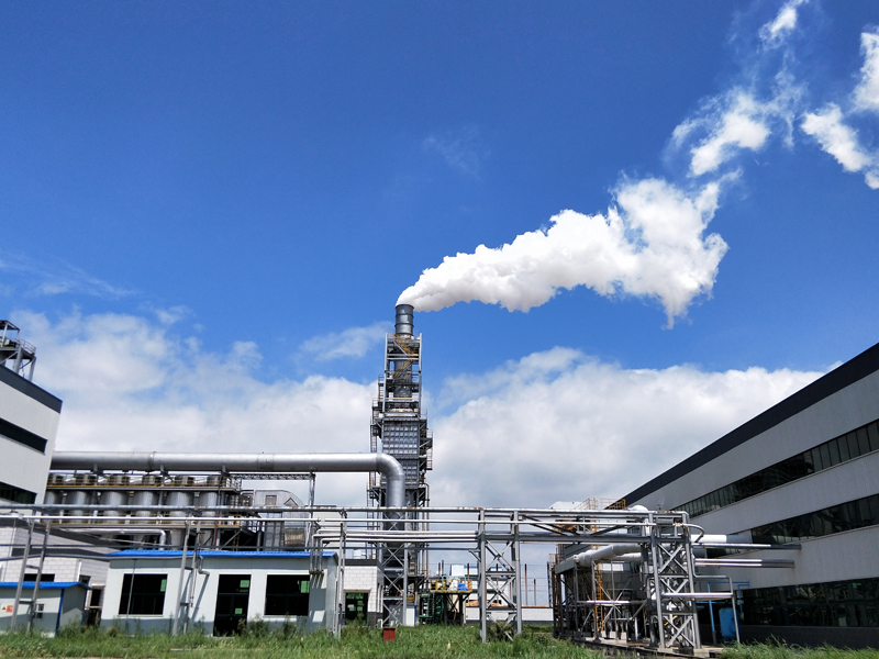 企業(yè)自行檢測及執(zhí)行報告